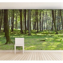 Woodland Forest Self Adhesive Wallpaper