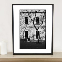 Tree And Windows, Barcelona Photographic Art Print