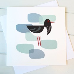Oystercatcher Blank Greetings Card