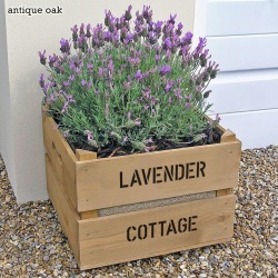 Personalised Square Crate With Lavender Seeds