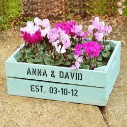 Personalised Medium Crate With Cyclamen Bulbs