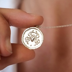 Personalised Zodiac Sign Necklace Birthday Gift