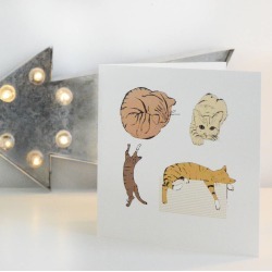 Colour Cats Greetings Card