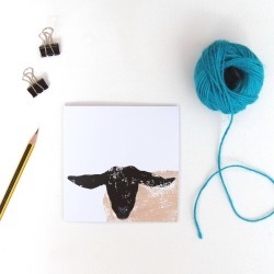 Suffolk Sheep Greetings Card