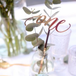 Calligraphy Table Numbers