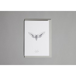 Moth Greetings Card