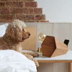 Wooden Speaker For iPhone