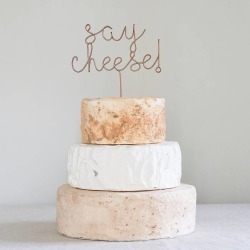 Say Cheese Wedding Cake Topper