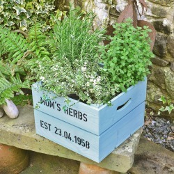 Personalised Square Crate With Herb Seeds