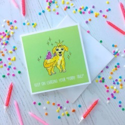Chase Your Furry Tail! Greetings Card
