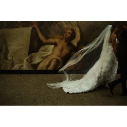 Aurelia Cut Edge Wedding Veil Soft Tulle