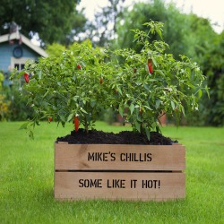 Personalised Planter Crate With Chilli Seeds