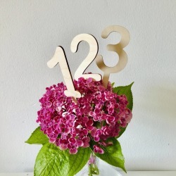 Wooden Table Numbers