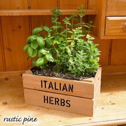Personalised Crate With Italian Herb Seeds