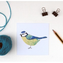 Blue Tit Greetings Card