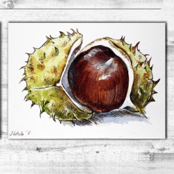 Conker Greetings Card