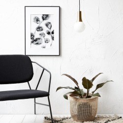 Floral Print In Frame