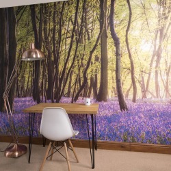 Bluebell Woods Self Adhesive Wallpaper Mural