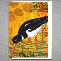 Oyster Catcher Greetings Card