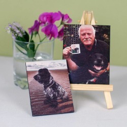 Pet Portrait Mini Canvas And Stand
