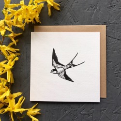 Swallow Card