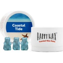 Coastal Tide Wax Melts 3.6 Oz. Eco Tin Wax Melts, Tarts, Cubes & Warmers Happy Wax
