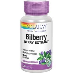Bilberry Berry Extract 120 Veg Caps by Solaray