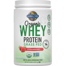 Organic Whey Protein Grass fed Powder Strawberry 13.75 Oz by Garden of Life