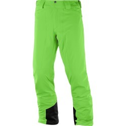 Salomon Men's Icemania Ski Pants