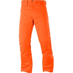 Salomon Men's Stormrace Ski Pants