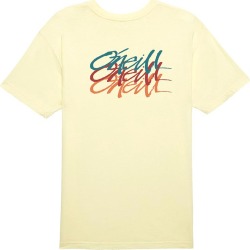 O'Neill Men's Trifecta Short Sleeve T Shirt