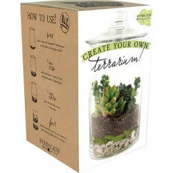 Syndicate Home & Garden Clear Glass Terrarium