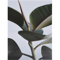 PAPER COLLECTIVE Pictures & Posters