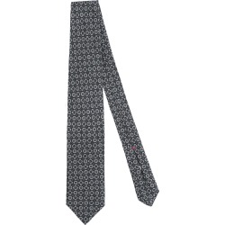 ISAIA Ties