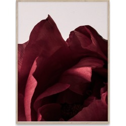 PAPER COLLECTIVE Pictures & Posters
