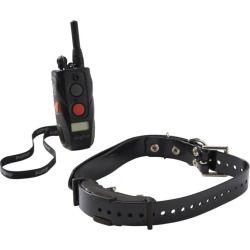 Dogtra Arc Training System with Dog Collar