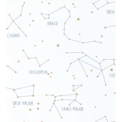 Constellations Wallpaper in White - Sample found on Bargain Bro from Chairish for USD $22.80