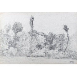 Black and White Landscape - Pencil Drawing on Paper by M.H. Yvert - Late 1800 Late 19th Century found on Bargain Bro Philippines from Chairish for $411.00