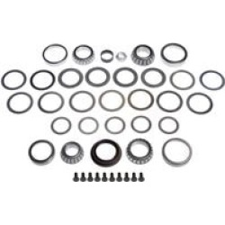 Dorman Differential Bearing Kit 697-119