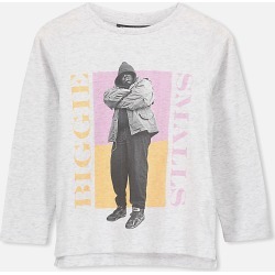 Cotton On Kids - Lux Ls Tee - Lcn mt summer grey marle/90's biggie/set in