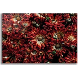 Red Barrel Studio® Backyard Flowers 88 Color Version by Brian Carson - Unframed Photograph redPlastic/Acrylic, Size 16.0 H x 24.0 W x 0.2 D in