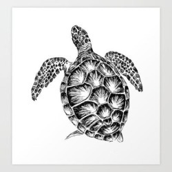 Sea Turtle Print In Black And White Art Print by Rachel's Fine Lines - X-Small