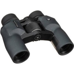 Vortex 10x32 Raptor Binoculars R310