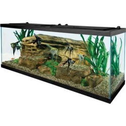 Tetra Open Glass 55 Gallon Rectangular Fish Aquarium Tank
