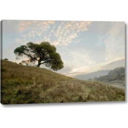 Winston Porter 'Oak Tree - 11' by Alan Blaustein Giclee Art Print on Wrapped Canvas & Fabric in Blue/Green, Size 10.0 H x 16.0 W x 1.5 D in Wayfair found on Bargain Bro from Wayfair for USD $43.31