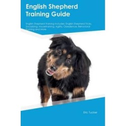 English Shepherd Training Guide English Shepherd Training Includes English Shepherd Tricks Socializing Housetraining Agility Obedience Behavioral Training and More