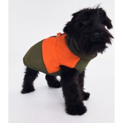 Zara Dog | Dog Quilted Jacket | Color: Green/Orange | Size: Xs found on Bargain Bro from poshmark, inc. for USD $11.40