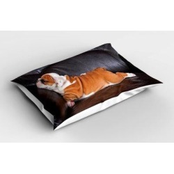 East Urban Home English Bulldog Sham Polyester in Brown, Size 20.0 H x 30.0 W in | Wayfair AB0395D5A5C446D781BDEF1665D1E012