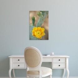 Easy Art Prints John & Lisa Merrill's 'Prickly Pear Cactus in Bloom' Premium Canvas Art