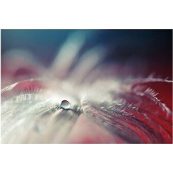 Ebern Designs Stories of Drops by Dmitry Doronin - Wrapped Canvas Graphic Art Print Canvas & Fabric in Blue/Red/White | Wayfair found on Bargain Bro from Wayfair for USD $45.59